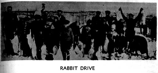 Lomond Rabbit Drive